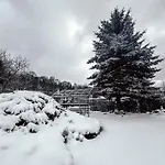 Carpe Diem Duszniki Zdrój
