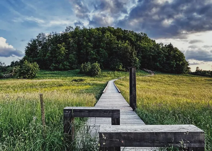 Апартаменты Carpe Diem *